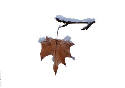 Triste Wetterlage im Kollektivvertragsherbst