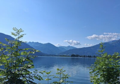 Klimawandel, Sommer und Hitze